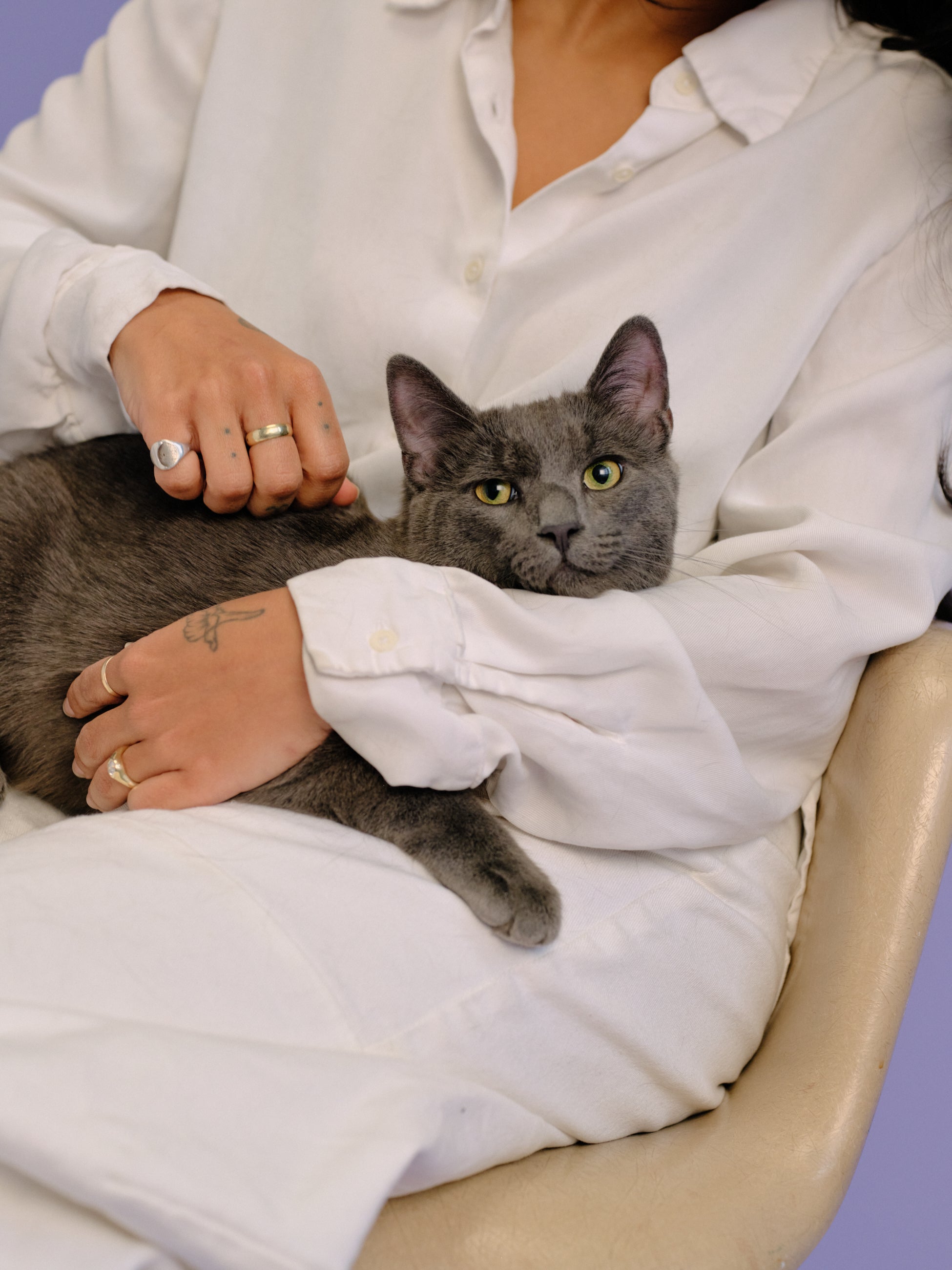 A woman sitting in a chair petting her grey cat.